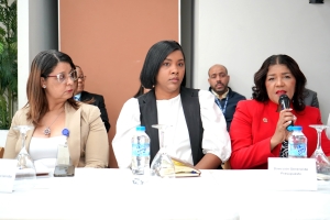FEDODIM reitera su compromiso con la transparencia en la 45ª Sesión de la Mesa de Control